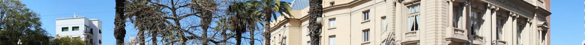 Vuelos baratos a Bahia Blanca