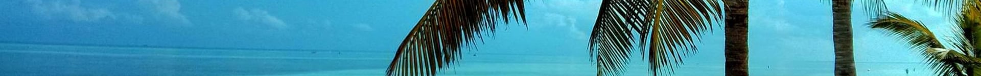 Vuelos baratos a Cayo Coco