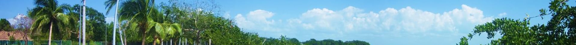 Vuelos baratos a Chetumal
