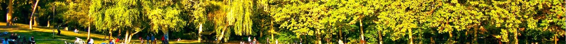 Vuelos baratos a Debrecen