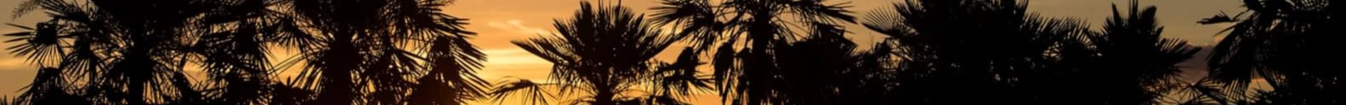 Vuelos baratos a Formosa