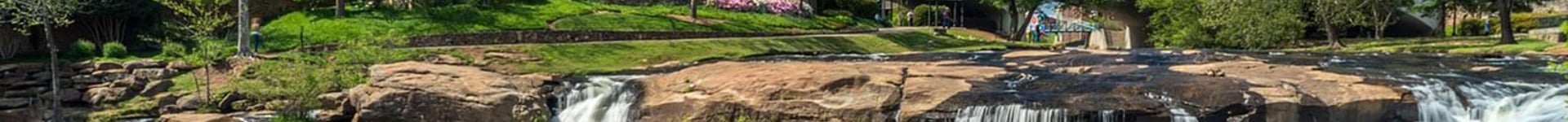 Vuelos baratos a Greenville