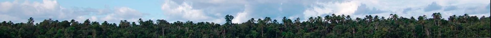 Vuelos baratos a Iquitos