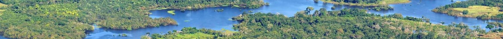 Vuelos baratos a Manaus