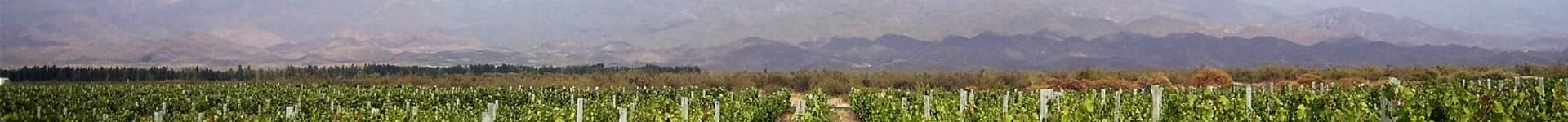 Vuelos baratos a Mendoza