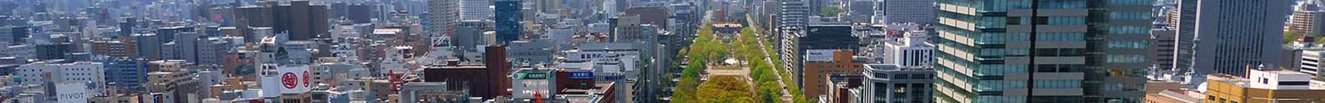 Vuelos baratos a Sapporo