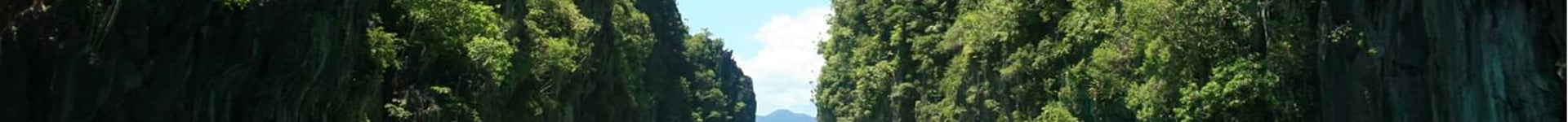 Vuelos baratos a Puerto Princesa