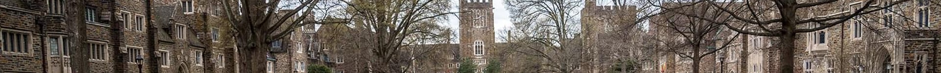 Vuelos baratos a Raleigh/Durham