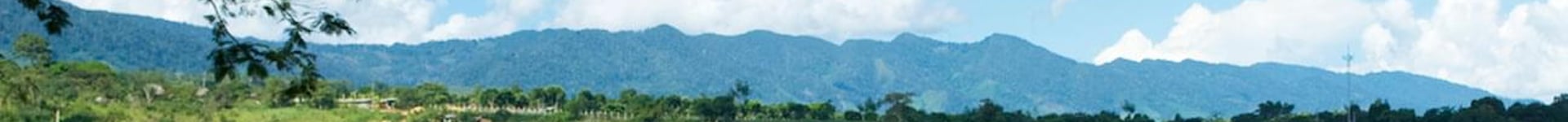 Vuelos baratos a Tarapoto