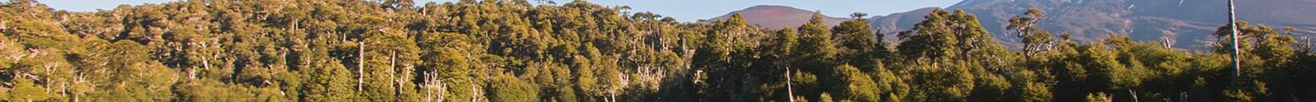 Vuelos baratos a Temuco