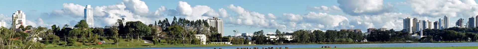 Vuelos baratos a Curitiba