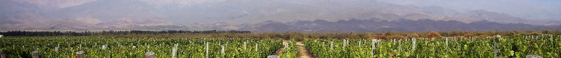 Vuelos baratos a Mendoza