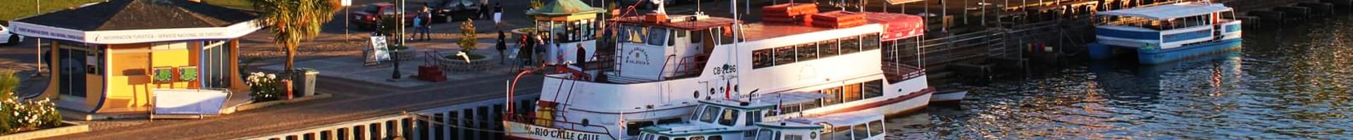Vuelos baratos a Valdivia