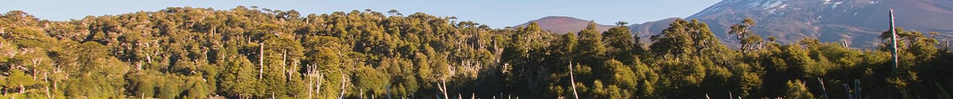 Vuelos baratos a Temuco
