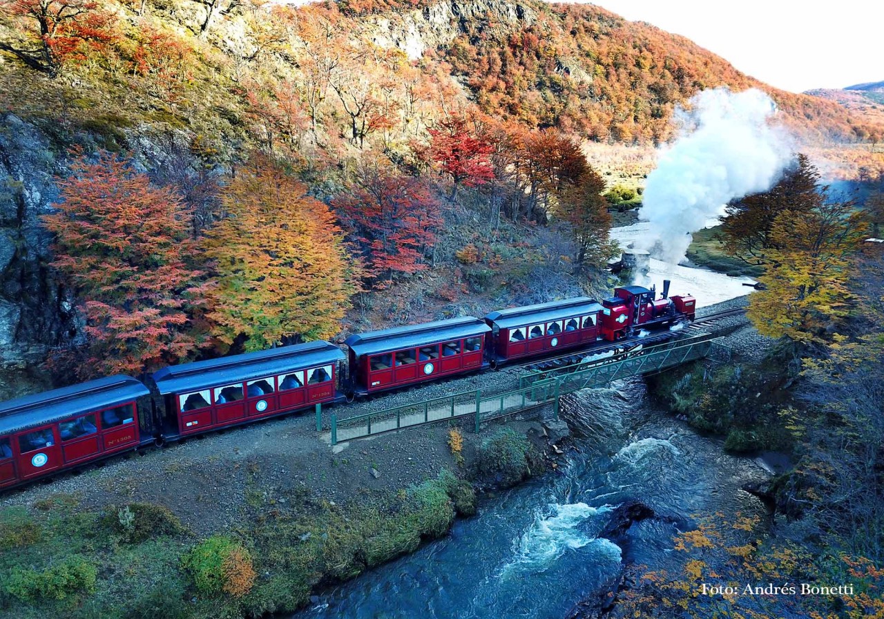 Excursão ao Parque Nacional Terra do Fogo + Trem do Fim do Mundo saindo de  Ushuaia, criar conta steam argentina 