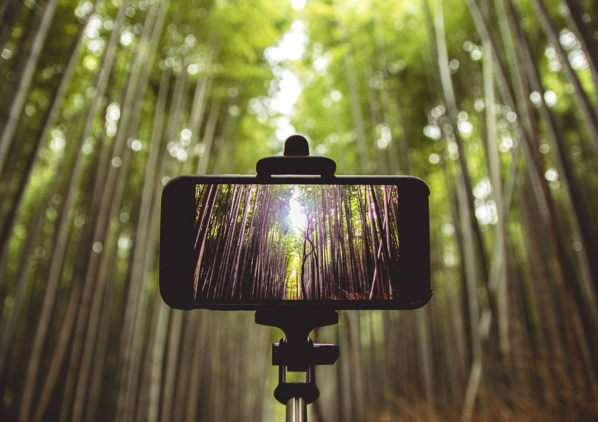 Dicas de cursos online gratuitos de fotografia com smartphone para arrasar na sua próxima viagem!