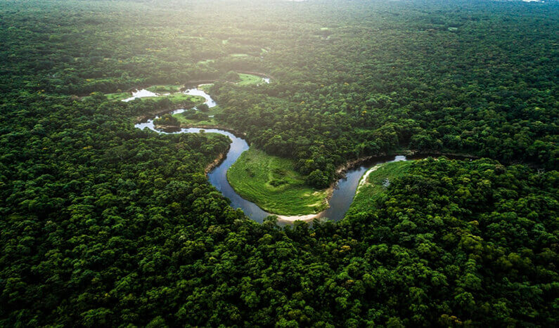 7 maravilhas naturais do mundo - Floresta Amazônica.
