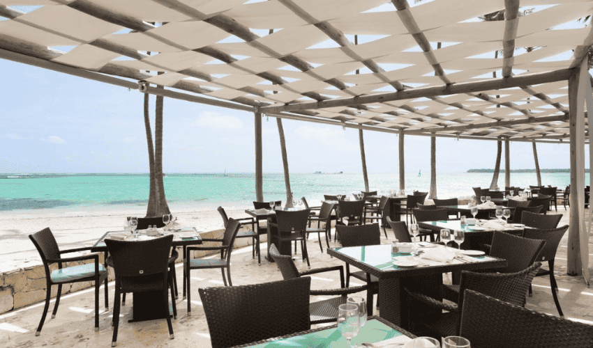 Descubre el Barceló Bávaro Beach solo para adultos: uno de los mejores hoteles en Punta Cana