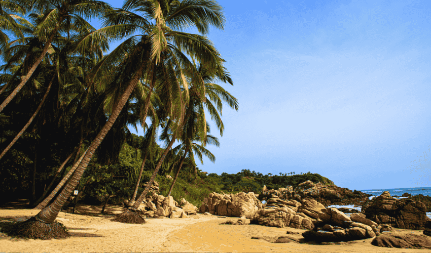 Descubre Puerto Escondido y sus mejores playas: Playa Bacocho