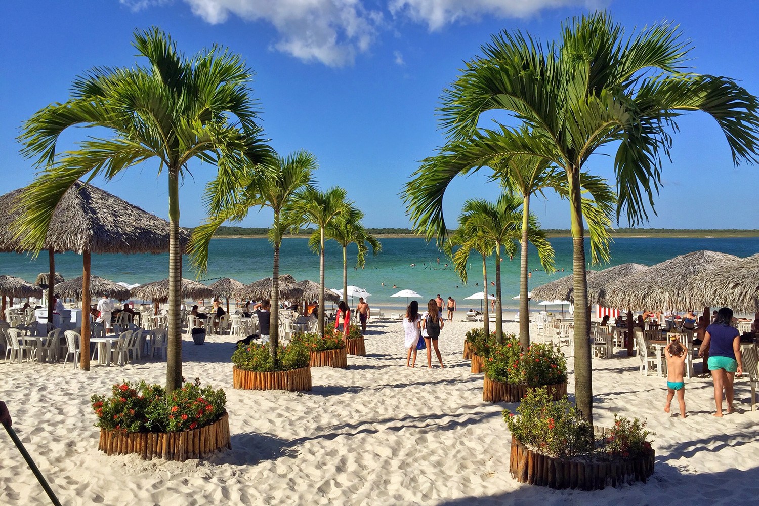 Guia de viagem Jericoacoara: O que Fazer, Dicas e Passeios.