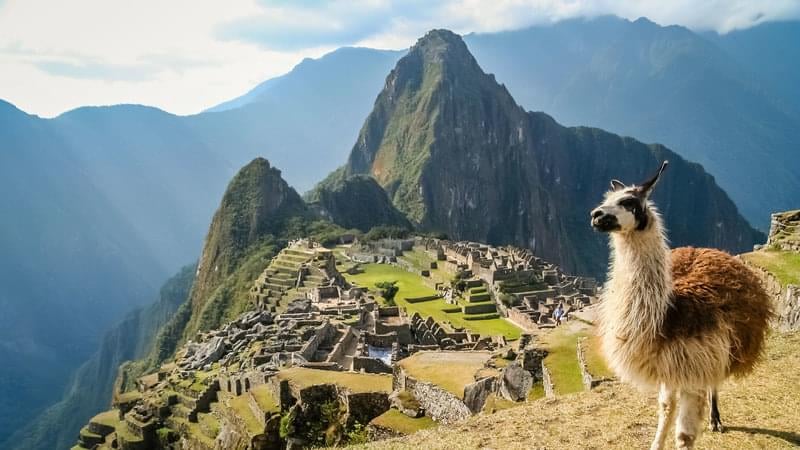 Trekking Machu Picchu,Peru.