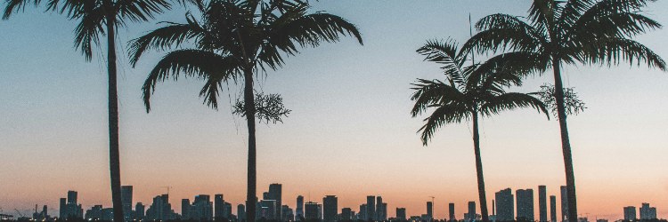 Cómo moverse en Miami: transporte público, apps y opciones